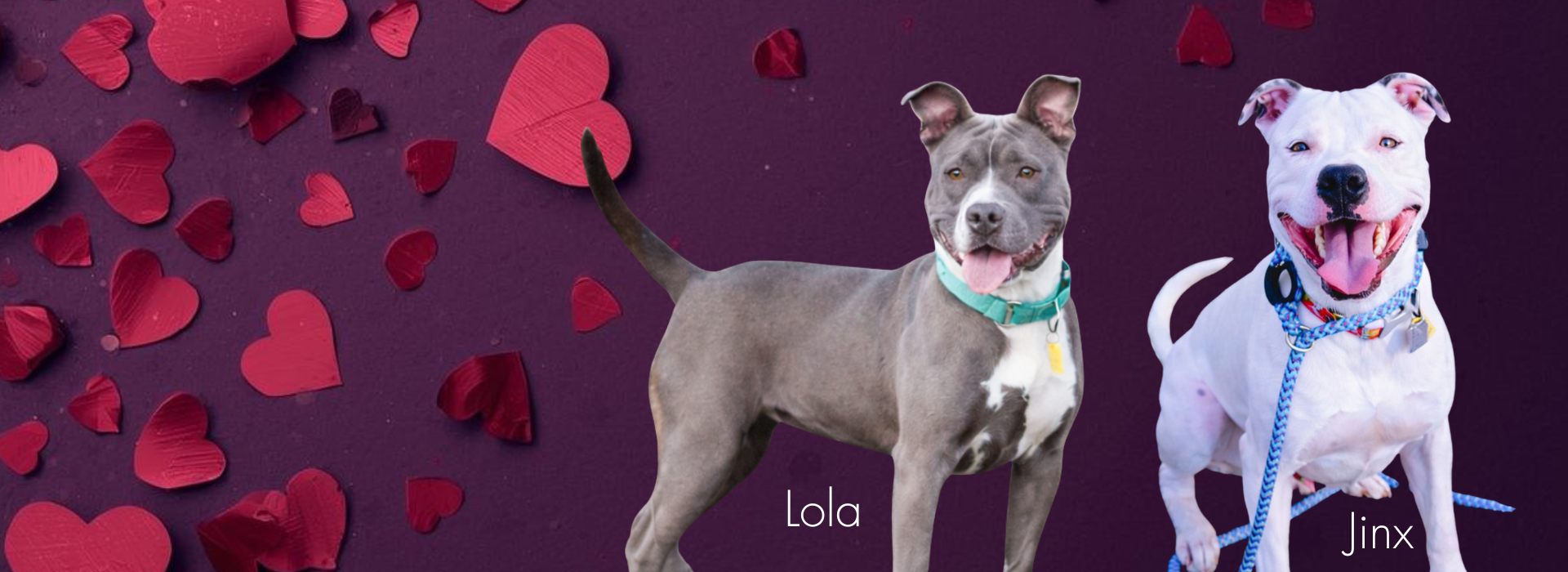 Find your one and only. 